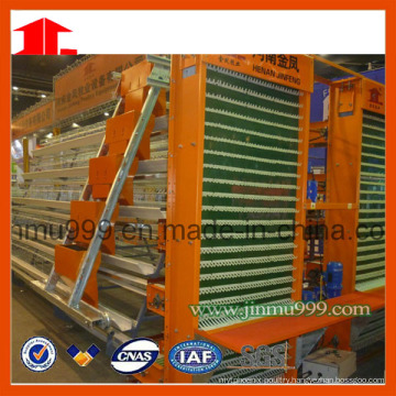 Jinfeng Hot Sell a Type Chicken Cage System